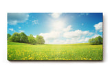 Sinus Art Wandbild 120x80cm Weite Frühlingswiese mit gelben Blüten und strahlendem Himmel für fröhliche Atmosphäre