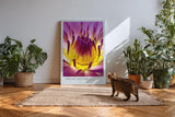 Paul Sinus Kunstdruck 40x60cm Blume Makro Gelb Pink Lila Lotus Blüte Solar Nectar