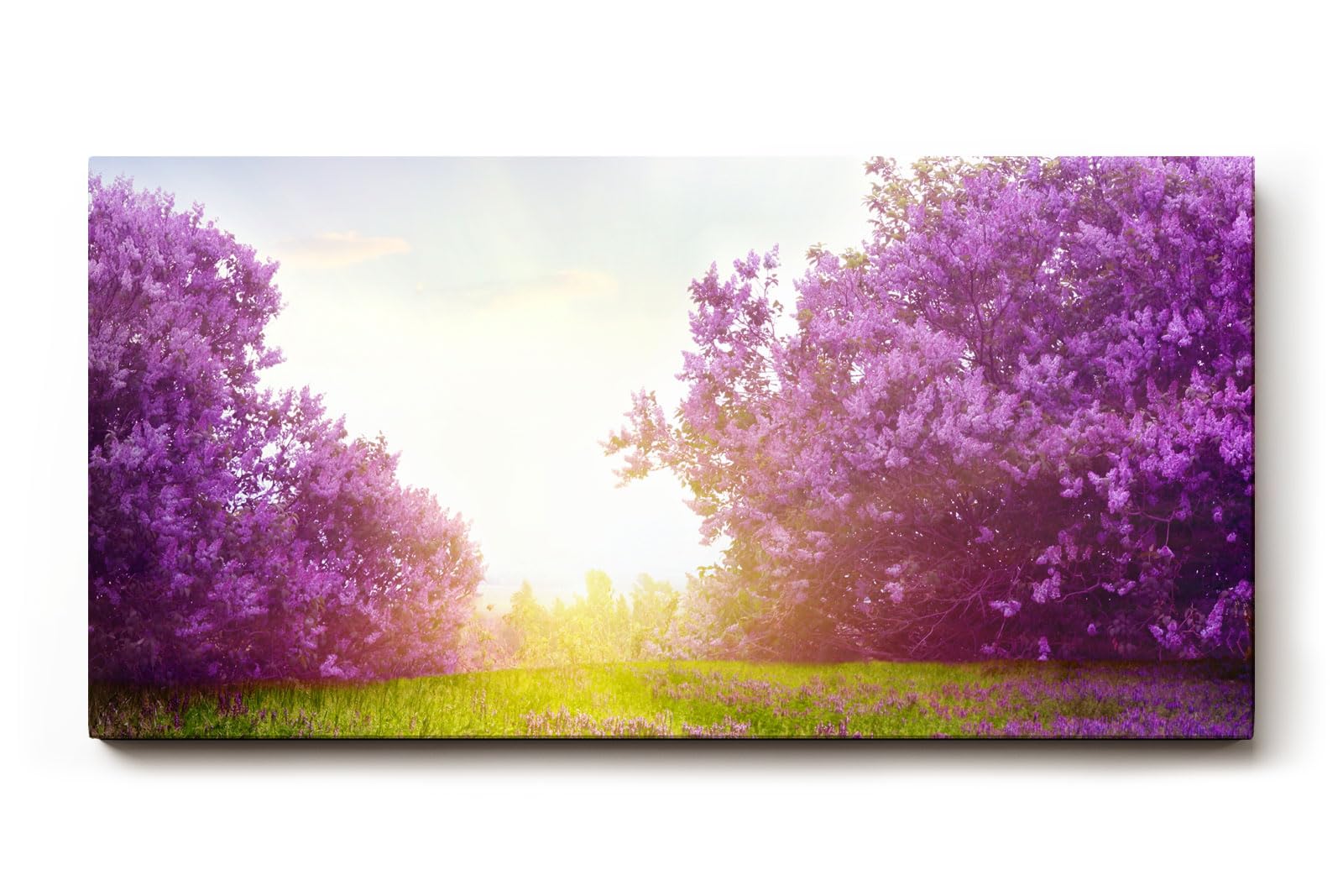 Sinus Art Wandbild 120x80cm Zauberhafte Lavendellandschaft mit Lichtspiel und blühenden Büschen