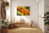 Sinus Art Wandbild 120x80cm Strahlende Ringelblumen in voller Blüte mit lebendiger Bildtiefe und Klarheit