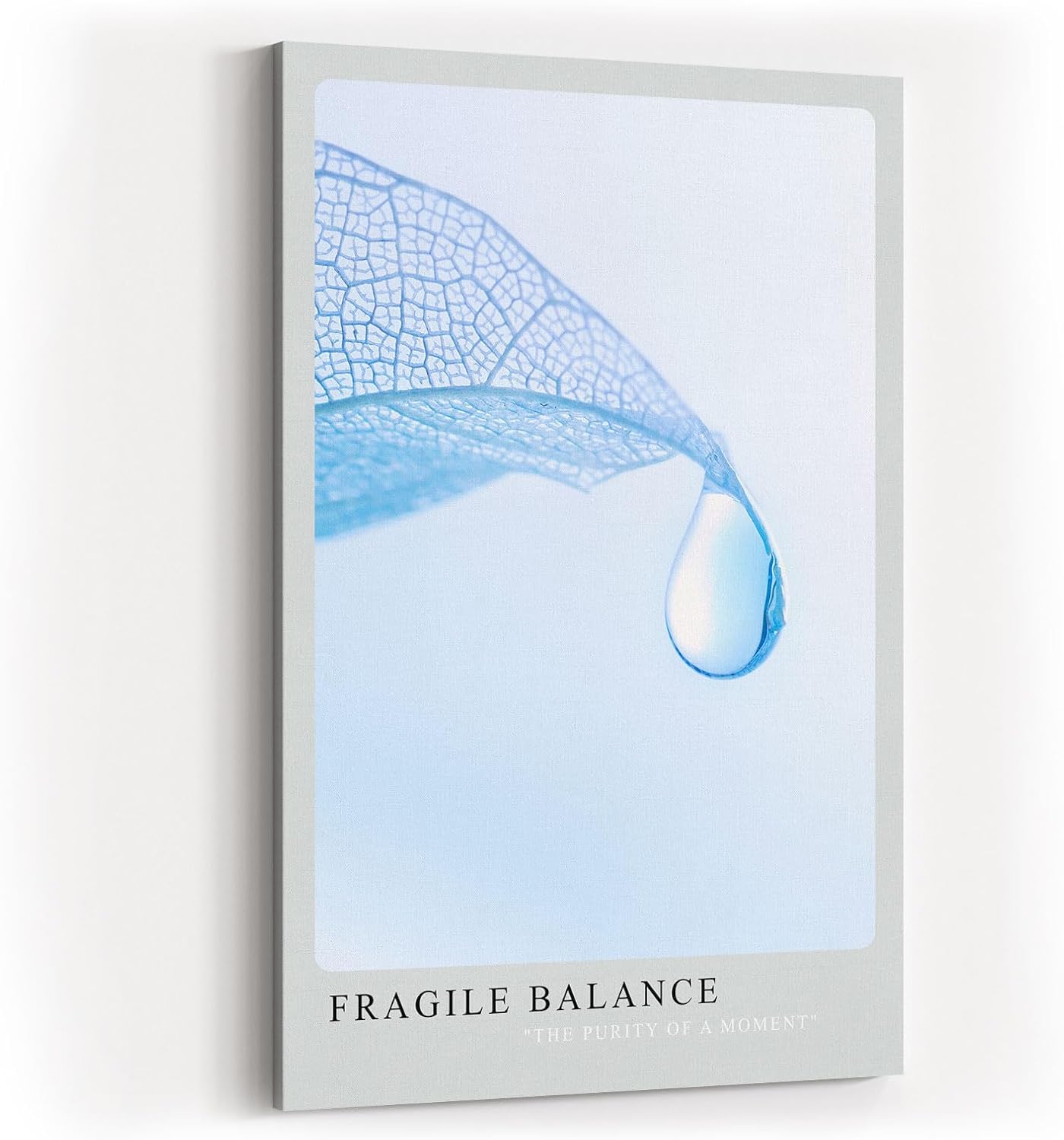 Paul Sinus Kunstdruck 40x60cm Fragile Balance – transparente Struktur mit Wassertropfen auf zartem Blatt in Hellblau