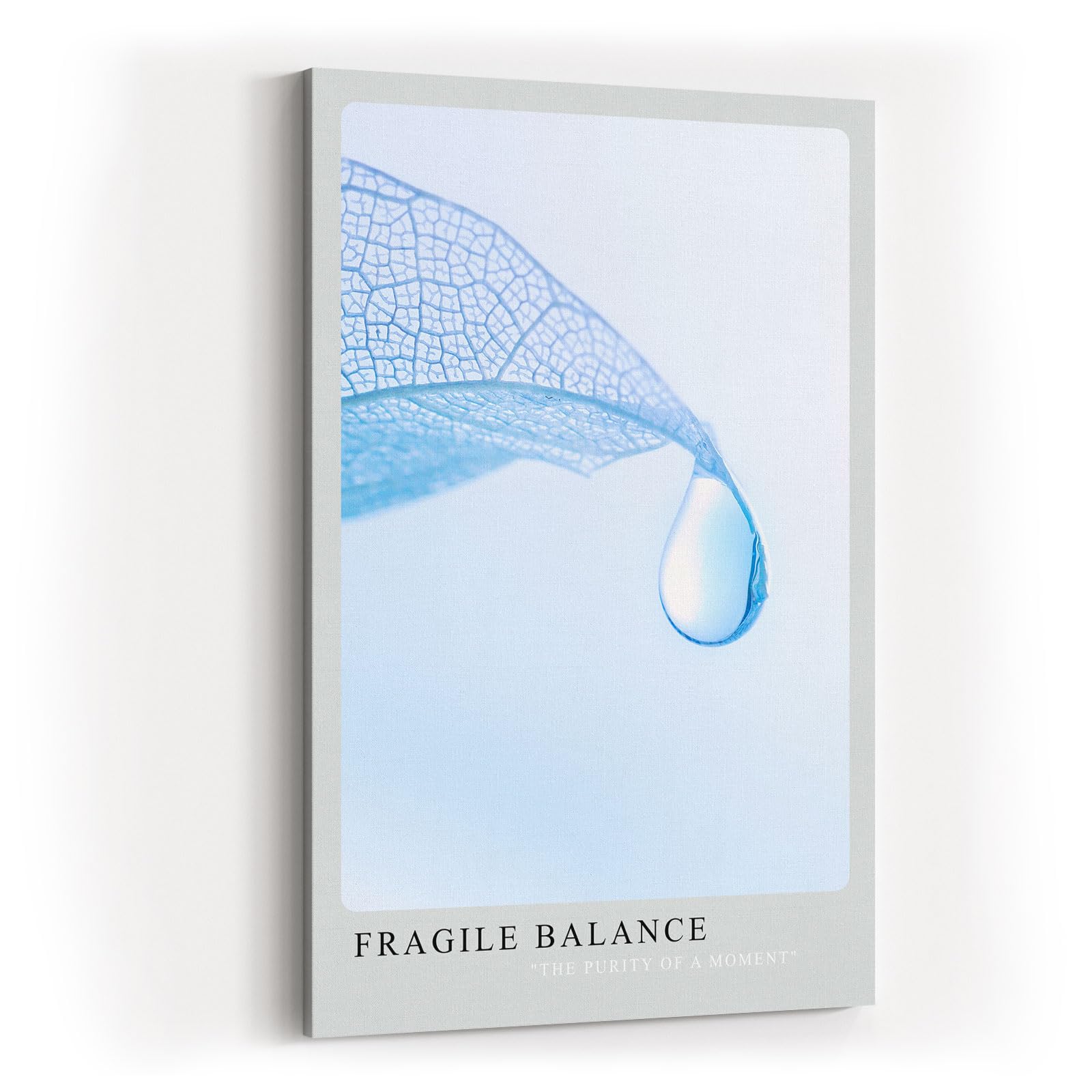 Paul Sinus Kunstdruck 40x60cm Fragile Balance – transparente Struktur mit Wassertropfen auf zartem Blatt in Hellblau