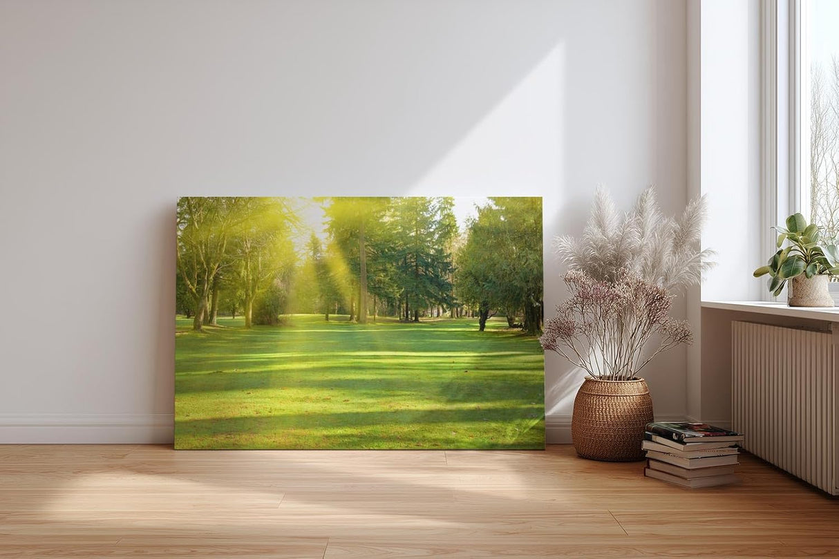 Sinus Art Wandbild 120x80cm Lichtdurchfluteter Wald mit kräftigem Grün und sanftem Schattenwurf