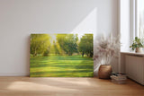 Sinus Art Wandbild 120x80cm Lichtdurchfluteter Wald mit kräftigem Grün und sanftem Schattenwurf