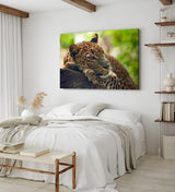 Paul Sinus Wandbild 120x80cm Jaguar Raubkatze Katze Tierfotografie Dschungel