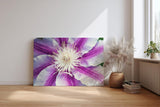 Sinus Art Wandbild 120x80cm Detaillierte Nahaufnahme einer lila-weißen Blüte mit ausdrucksstarker Struktur