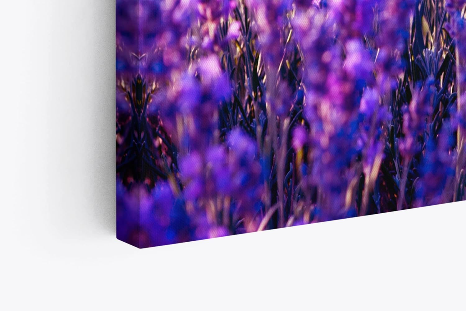 Paul Sinus Wandbild 120x80cm Lavendelfeld Lavendel Blumen Violett Wildblumen Blüten