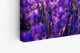 Paul Sinus Wandbild 120x80cm Lavendelfeld Lavendel Blumen Violett Wildblumen Blüten