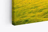 Paul Sinus Wandbild 120x80cm Insel in Irland Küste Landschaft Meer Klippen
