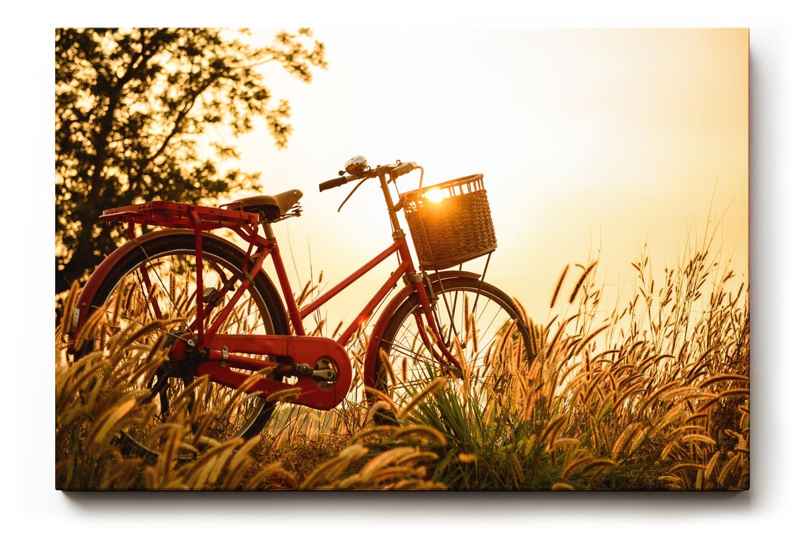 Sinus Art Wandbild 120x80cm Rotes Fahrrad im goldenen Gegenlicht einer Sommerwiese mit romantischem Flair