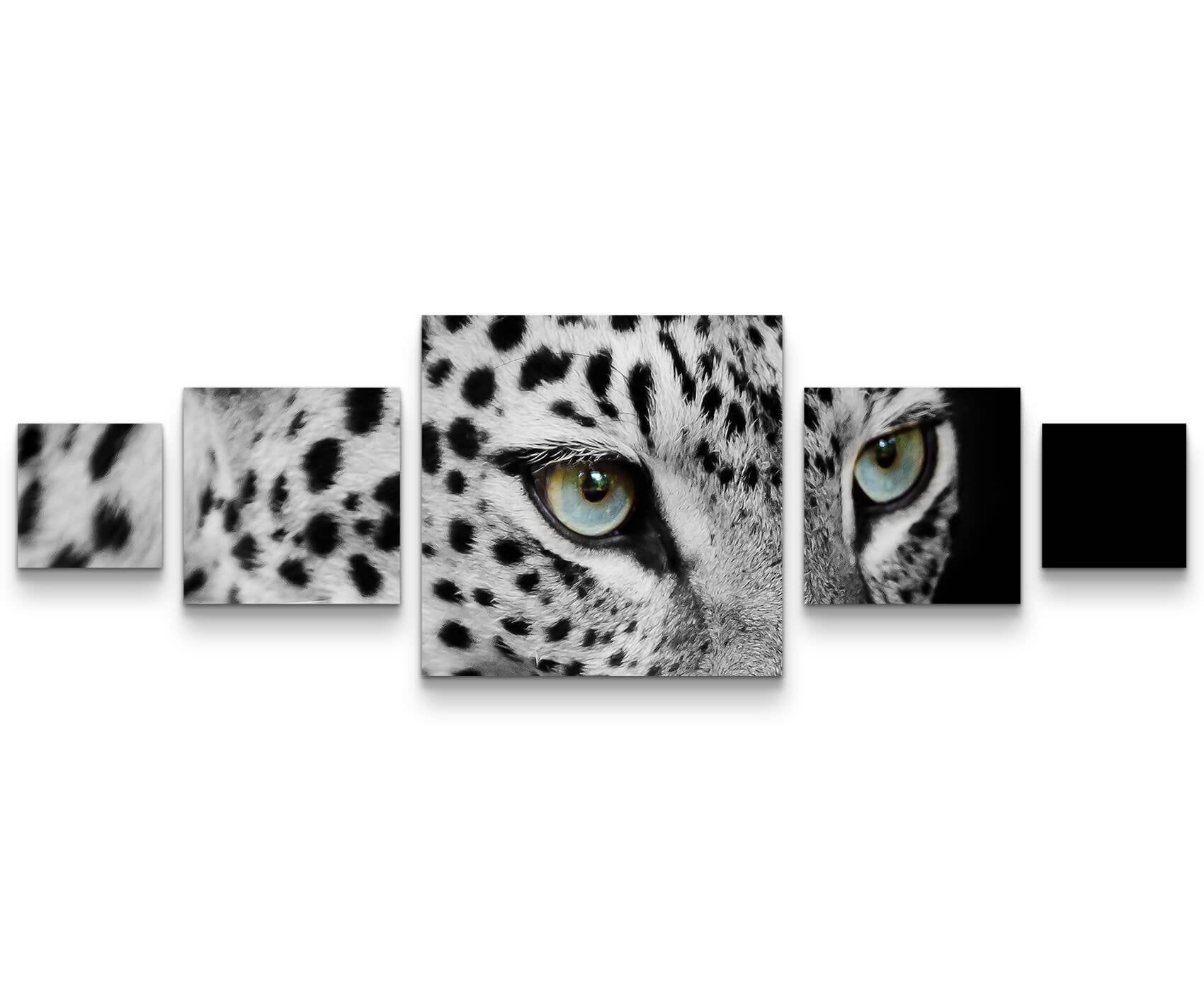 Paul Sinus Art Leinwandbilder | Bilder Leinwand 60x60cm Portrait eines liegenden Leoparden schwarzweiß