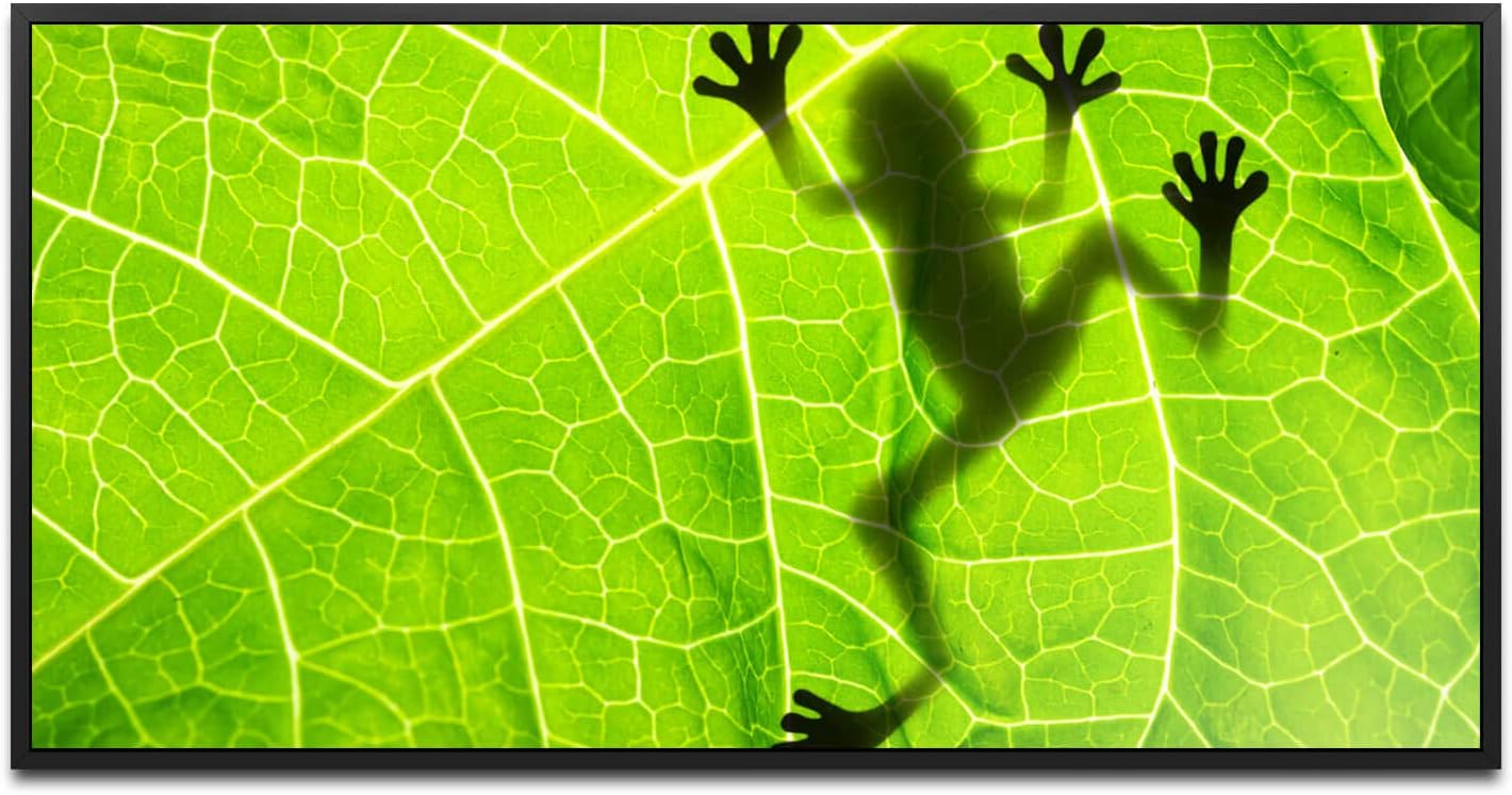 Frosch hinter einem Blatt ca. 130x70cm Wandbild inklusive Schattenfugenrahmen schwarz - Panorama Leinwand Bild XXL Format Wandbilder Wohnzimmer Wohnung Deko Kunstdrucke