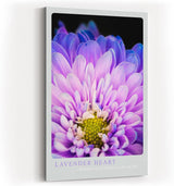 Paul Sinus Kunstdruck 40x60cm Lavender Heart Nahaufnahme violetter Blüte Where Light Meets Lush Detail