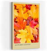 Paul Sinus Kunstdruck 40x60cm Autumn Leaves – leuchtende Herbstblätter in Gold, Rot und Orange
