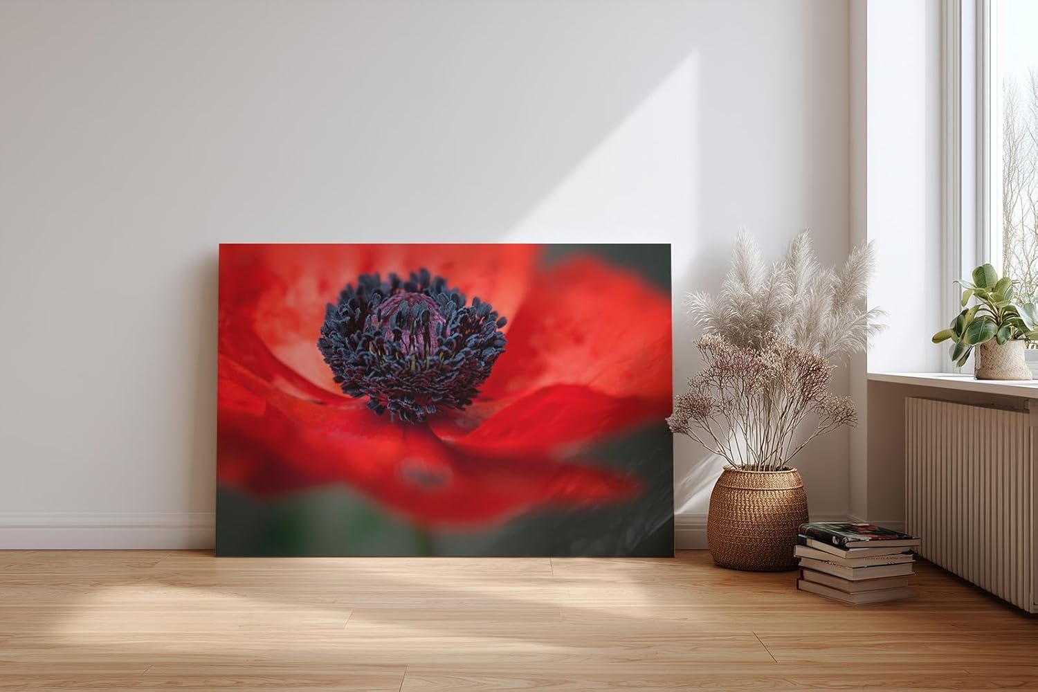 Sinus Art Wandbild 120x80cm Starke Nahaufnahme einer offenen roten Mohnblüte mit Fokus auf das tiefschwarze Zentrum