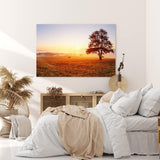 Paul Sinus Wandbild 120x80cm Baum Morgentau Sonnenaufgang Feld Natur Nebel