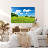 Paul Sinus Wandbild 120x80cm Landschaftsbild Wiese Bäume Natur Sommer blauer Himmel
