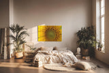 Sinus Art Wandbild 120x80cm Atemberaubendes Makromotiv einer Sonnenblume – intensiv, lebendig und ausdrucksstark