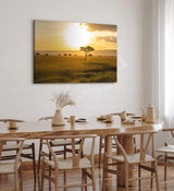 Paul Sinus Wandbild 120x80cm Afrikanische Landschaft Burkea Africana Bäume Sonnenuntergang
