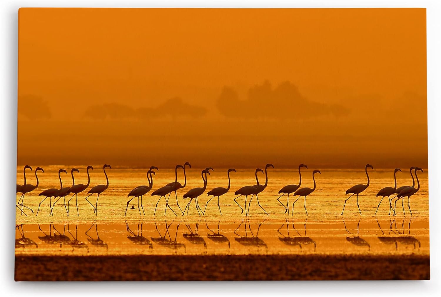 Paul Sinus Wandbild 120x80cm Flamingos Sonnenuntergang Abendröte Rot Kunstvoll