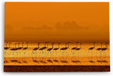 Paul Sinus Wandbild 120x80cm Flamingos Sonnenuntergang Abendröte Rot Kunstvoll