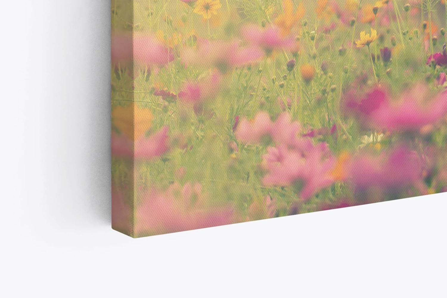 Paul Sinus Wandbild 120x80cm Wildblumen Blüten Blumen Blumenwiese Sonnenschein