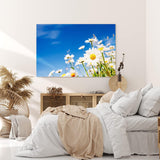 Paul Sinus Wandbild 120x80cm Gänseblümchen Blumen blauer Himmel Sonnenschein Sommer
