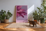 Paul Sinus Kunstdruck 40x60cm Pink Balance Makroaufnahme Blüte Blütenblätter Blume Rosa Detailfotografie