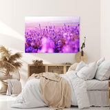 Paul Sinus Wandbild 120x80cm Blumen Blüten Violett Lavendel Blumenfeld Sonnenschein