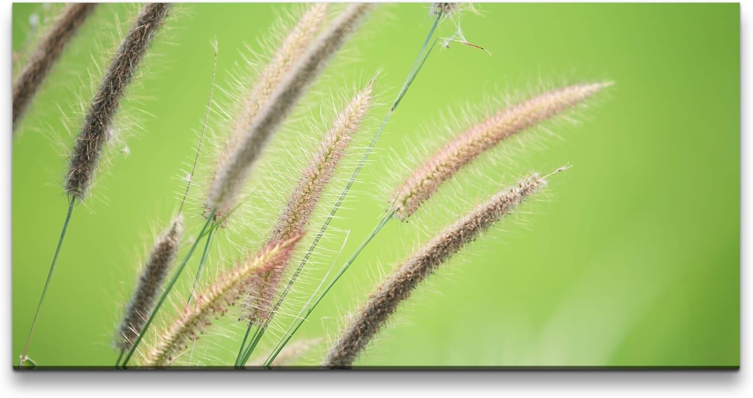 Grashalm ca. 130x70cm Wandbild inklusive Schattenfugenrahmen weiss - Panorama Leinwand Bild XXL Format Wandbilder Wohnzimmer Wohnung Deko Kunstdrucke