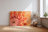 Sinus Art Wandbild 120x80cm Elegante Blütenkomposition in Apricot mit weichen Übergängen und lebendiger Struktur