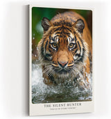 Paul Sinus Wandbild in 40x60cm The Silent Hunter – Faszinierendes Tigerporträt im Wasser in hoher Farbbrillanz