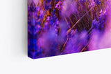Paul Sinus Wandbild 120x80cm Blumen Blüten Violett Lavendel Blumenfeld Sonnenschein