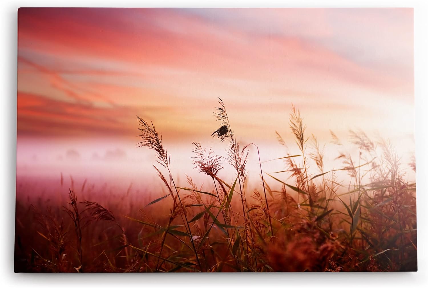 Paul Sinus Wandbild 120x80cm Weizenfeld Morgenröte Natur Feld Rosa Himmel