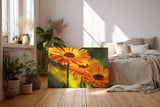 Sinus Art Wandbild 120x80cm Strahlende Ringelblumen in voller Blüte mit lebendiger Bildtiefe und Klarheit