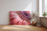 Sinus Art Wandbild 120x80cm Detailreiche Makroaufnahme einer Blüte mit sanfter Eleganz und organischer Struktur