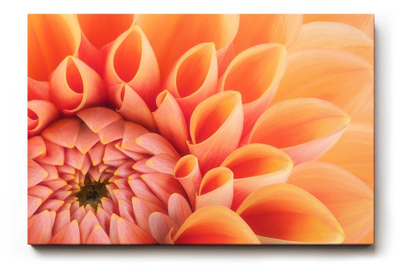 Sinus Art Wandbild 120x80cm Elegante Blütenkomposition in Apricot mit weichen Übergängen und lebendiger Struktur