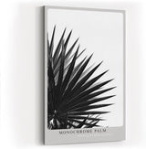 Paul Sinus Wandbild in 40x60cm Monochrome Palm – stilvolle Palmenblätter in kontrastreicher Schwarz-Weiß-Fotografie für moderne Räume
