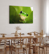 Paul Sinus Wandbild 120x80cm Frosch grünes Blatt Natur Grün Pflanze Fotokunst Regenwald