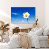 Paul Sinus Wandbild 120x80cm Gänseblümchen Blume blauer Himmel Sonnenschein