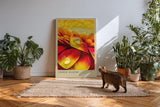 Paul Sinus Kunstdruck 40x60cm Ember Bloom – leuchtend rote und gelbe Blütenblätter mit Tautropfen in Nahaufnahme