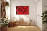Sinus Art Wandbild 120x80cm Detailreiche Nahaufnahme einer geöffneten roten Rose mit sanft geschwungenen Blütenblättern
