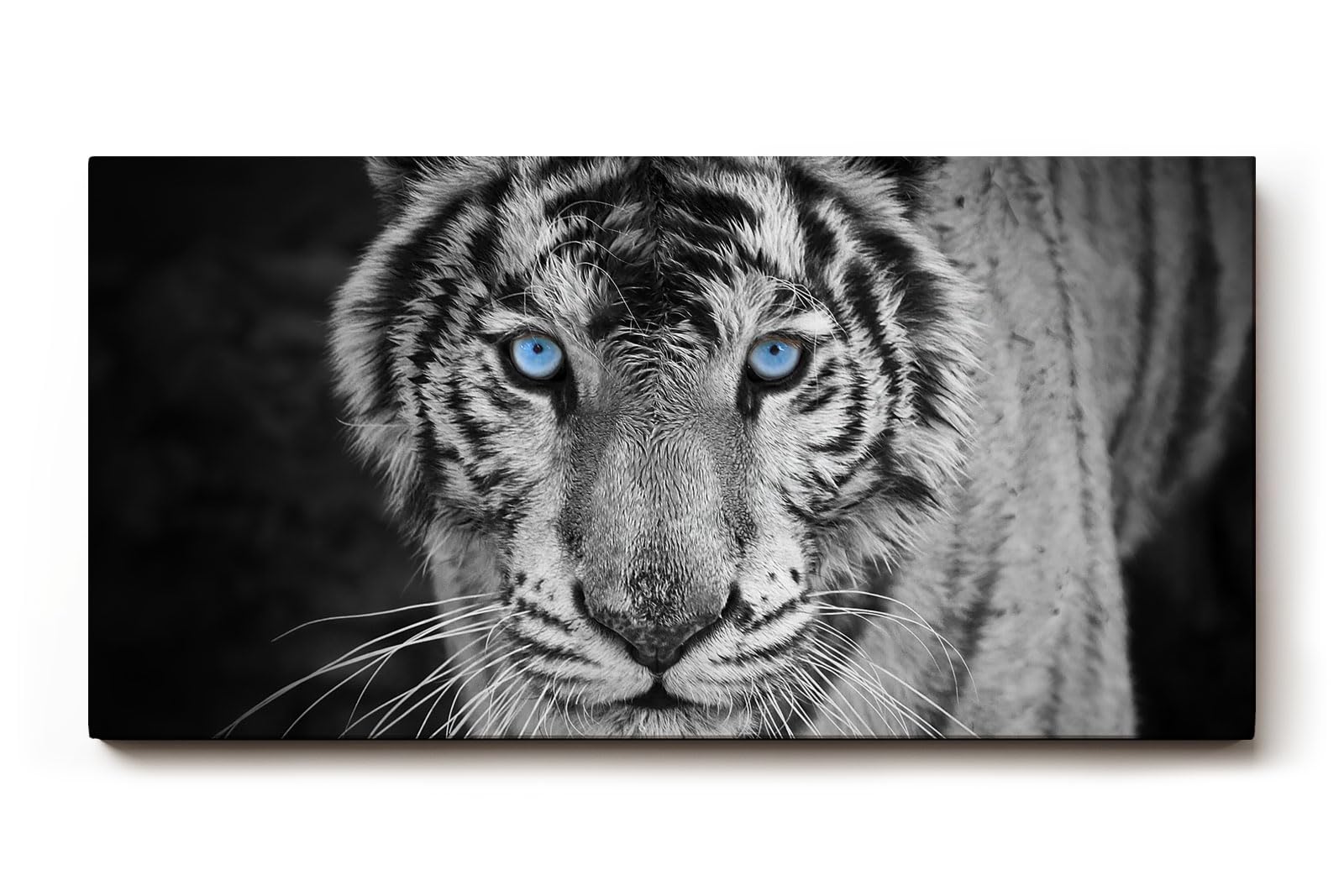 Sinus Art Wandbild 120x80cm Der intensive Blick des Tigers mit leuchtend blauen Augen schafft eine starke Präsenz