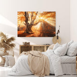 Paul Sinus Wandbild 120x80cm Große Eiche Baum Herbst Herbstblätter Sonnenstrahl Wald