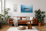 Sinus Art Wandbild 120x80cm Fesselndes Tiermotiv mit realistischer Darstellung eines Haies im Tiefblau