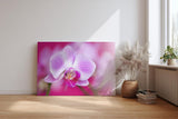 Sinus Art Wandbild 120x80cm Die Tropfen auf den Blütenblättern verleihen dem Motiv eine frische und natürliche Eleganz