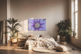 Sinus Art Wandbild 120x80cm Detailreiche Darstellung einer Clematisblüte in Violett mit weißem Zentrum