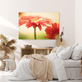 Paul Sinus Wandbild 120x80cm Gerbera Blume Blüte Rot Nahaufnahme Kunstvoll Tropfen