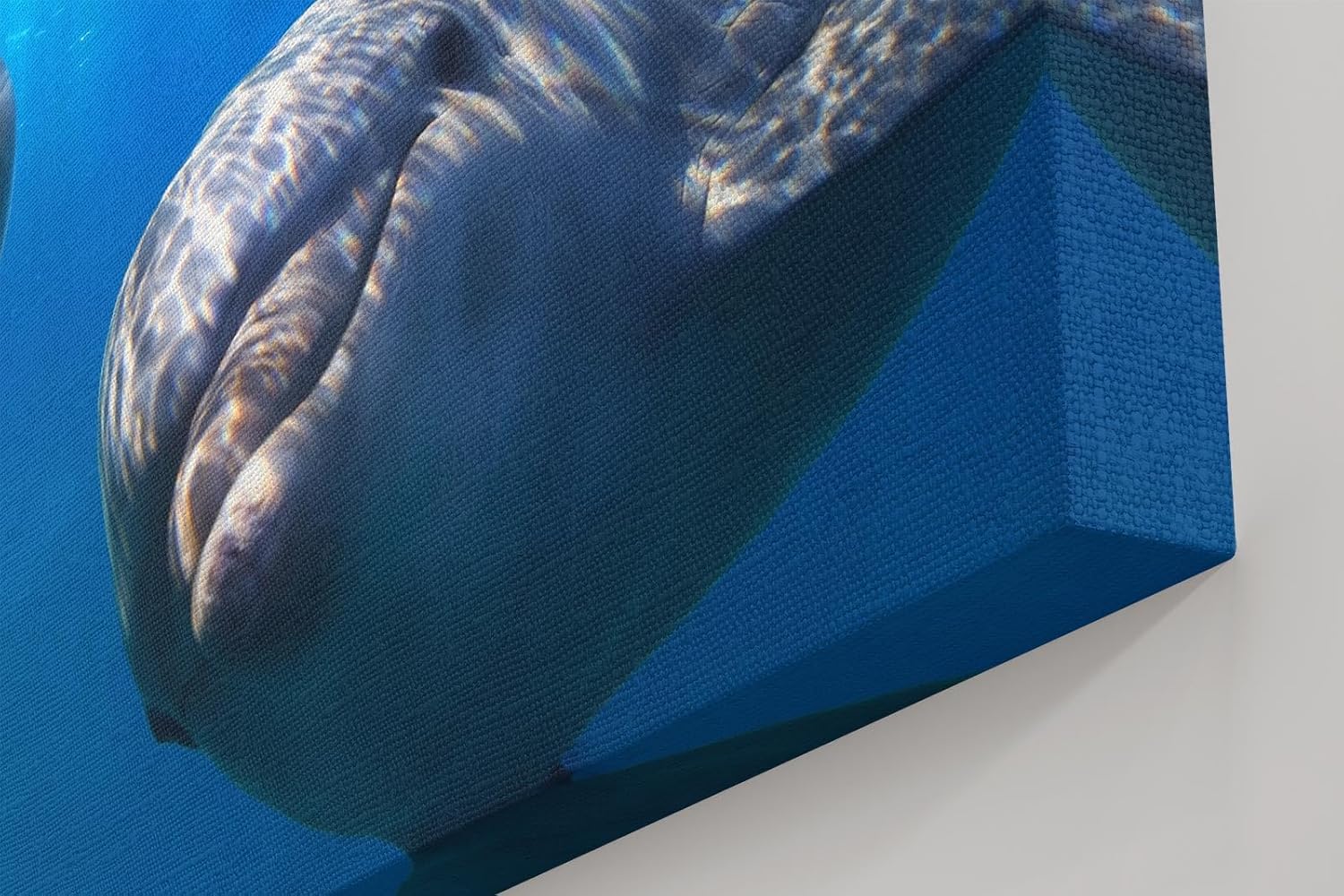 Sinus Art Wandbild 120x80cm Die Delfine wirken lebensfroh und einladend und bringen maritime Energie in jeden Raum