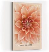 Paul Sinus Kunstdruck 40x60cm Dahlia Bloom Blume Makro Rosa Struktur Natur Pflanze Detail